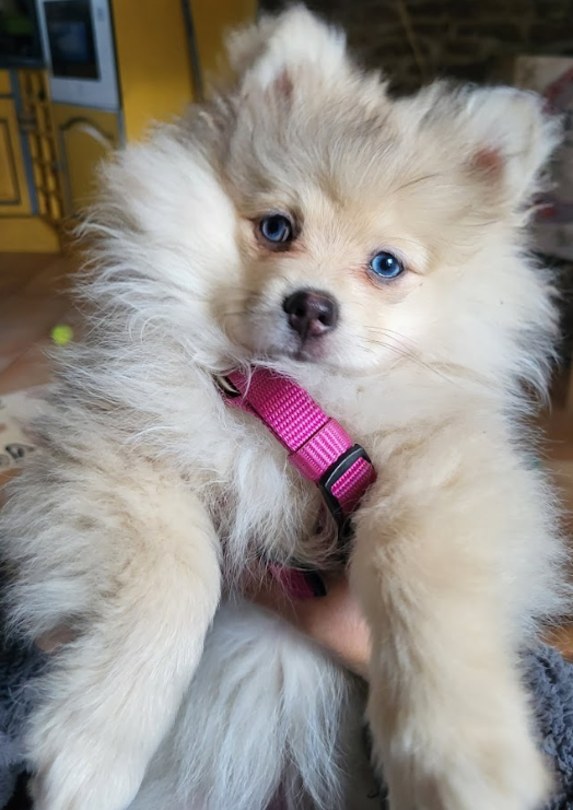 Capture d'écran 2025-12-01 125614.png