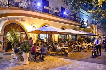 dom rep - restaurant.jpeg