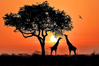 south-africa-top-attractions-intro-parag