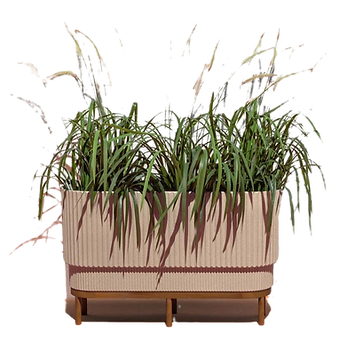 Image 15_edited_edited.png