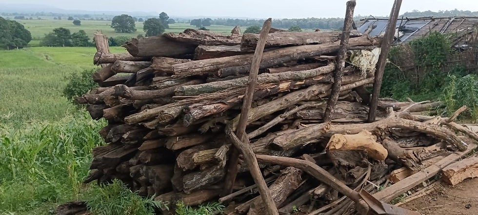 3 firewood storage Melghat HH