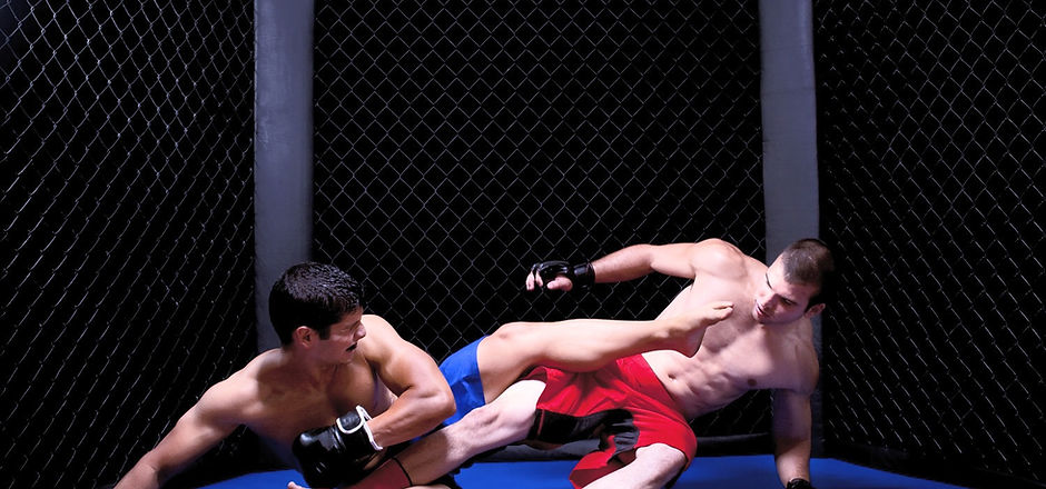 Grappling_edited.jpg