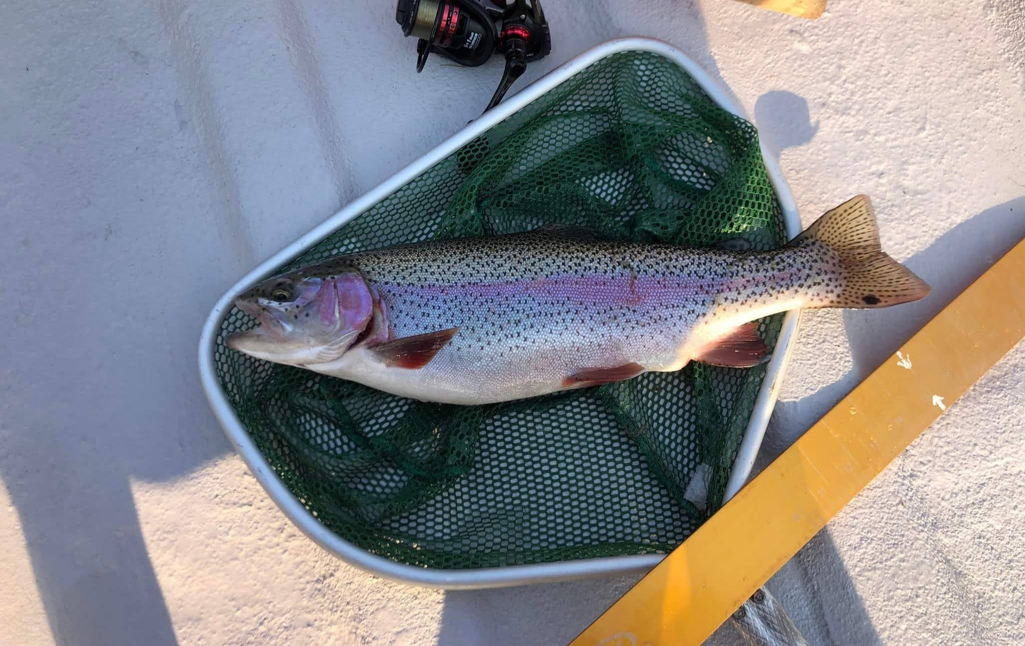 Trout Fishing Eureka Springs, AR / BOOKNHOOK Fishing