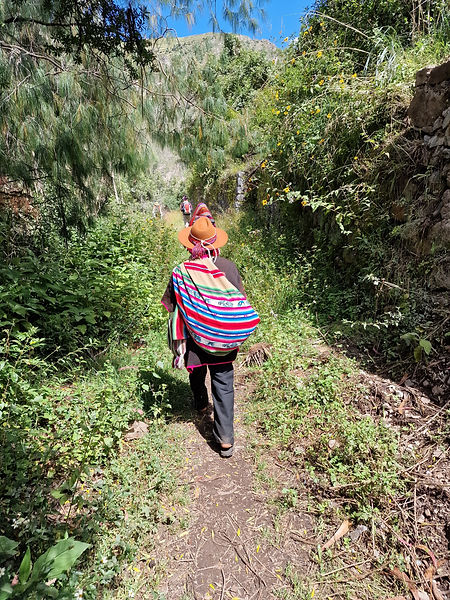 Traditional shaman leading a spiritual hike through lush green trails in the Peruvian mountains, carrying a colorful bag