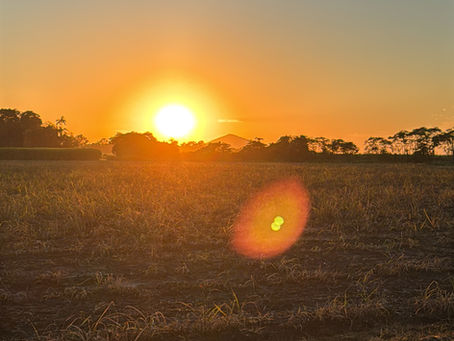The Light After the Storm: Why Clarity Is the First Step in Healing