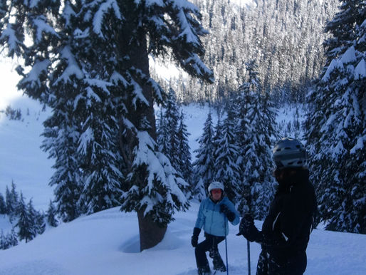 Powder Days Coming!Powder Alert