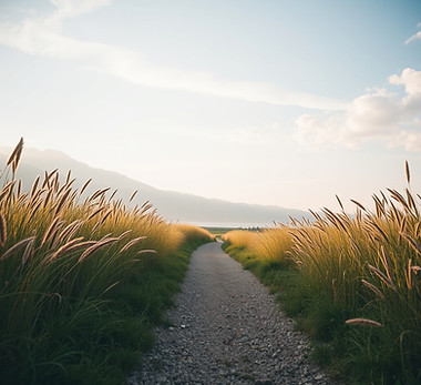 running on pathway.jpg