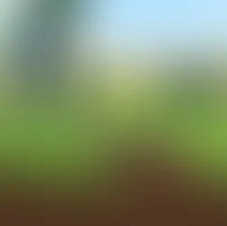 How to Level Uneven Lawn for a Lasting Finish