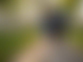 房主正在仔细检查自家院子的石板路铺设情况。