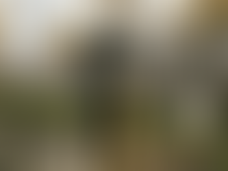 房主如何检查自家院子的排水情况