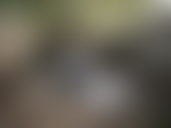 Homeowner installing backyard paver patio