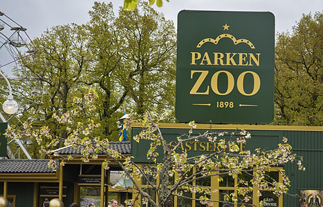 parkenzoo_premiar_20260514_007_2.jpg
