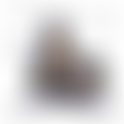 ☝️ Ծրագրավորման հմտությունները մեր օրերում դառնում են ավելի ու ավելի կարևոր