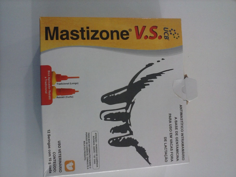 Mastizone V.S