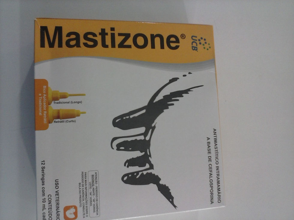 Mastizone