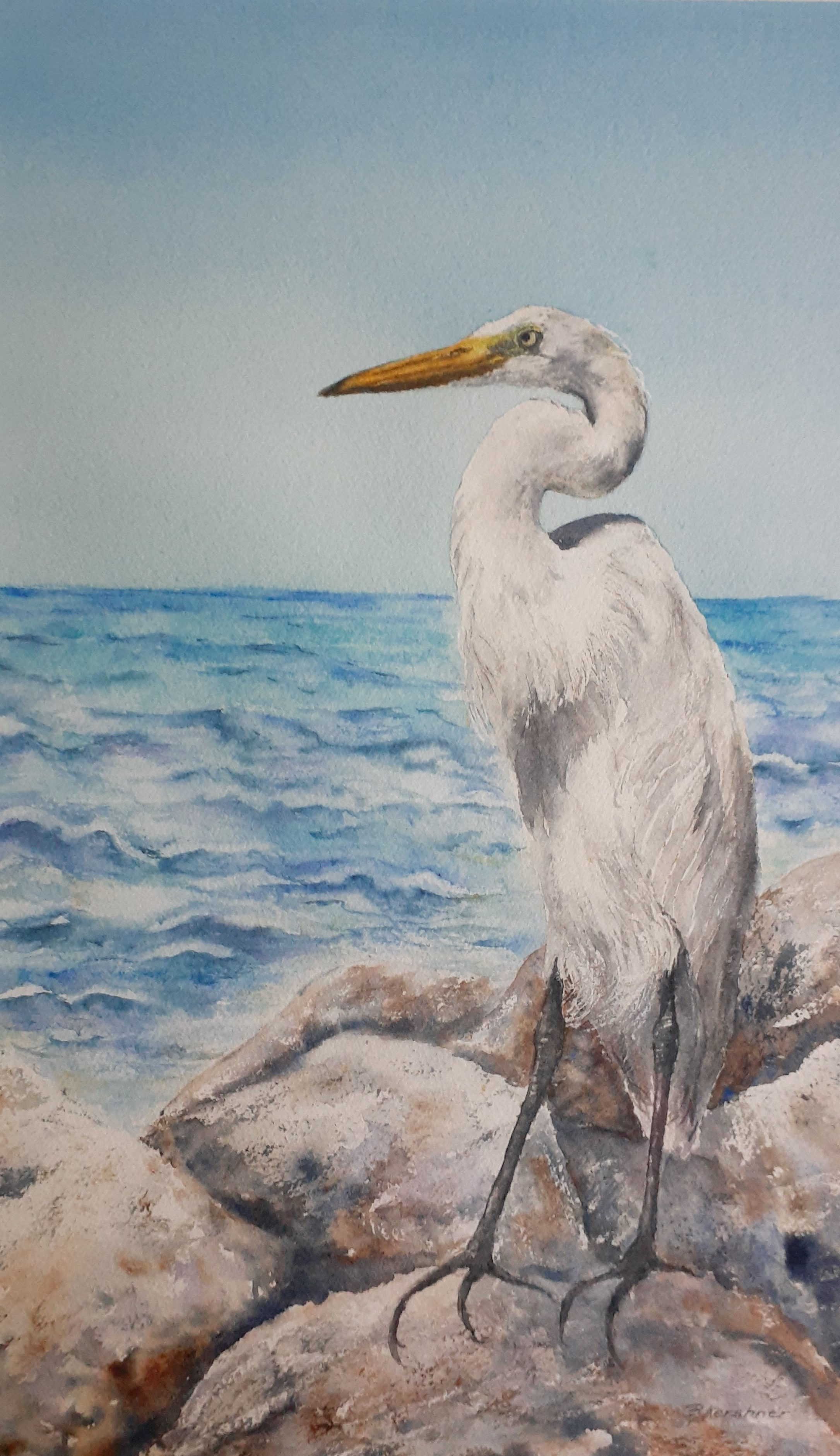 Promontary byBarbara Kershner 18 X 26