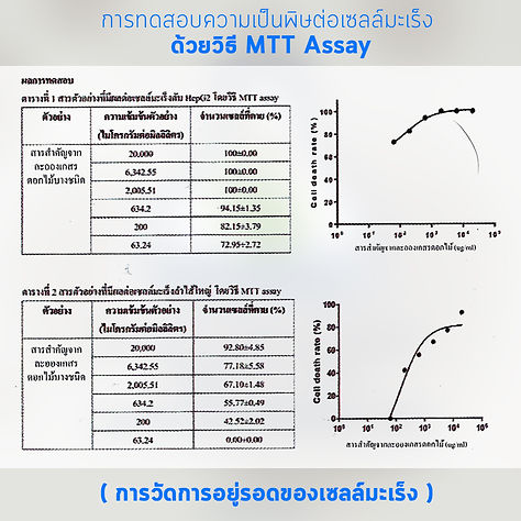งานวิจัย.jpg