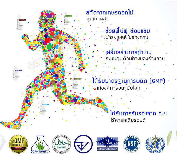 ทำไมต้องเซอร์นิติน.jpg
