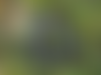 1853: Adder infested wood near Cuckfield