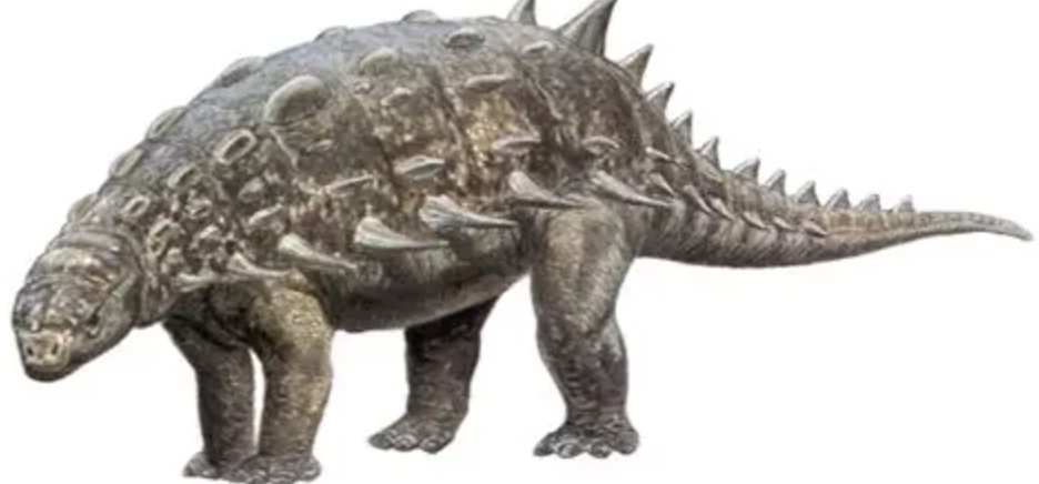 Hylaeosaurus (image courtesy of Dinosaur wiki)