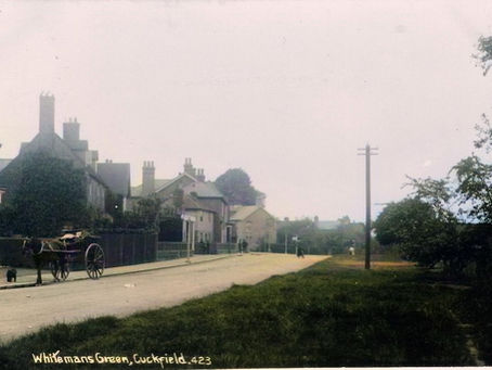 1885: Valuable carrier pigeons attacked by a dog at Whiteman's Green