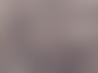 2018: Reflections on Cuckfield Workhouse