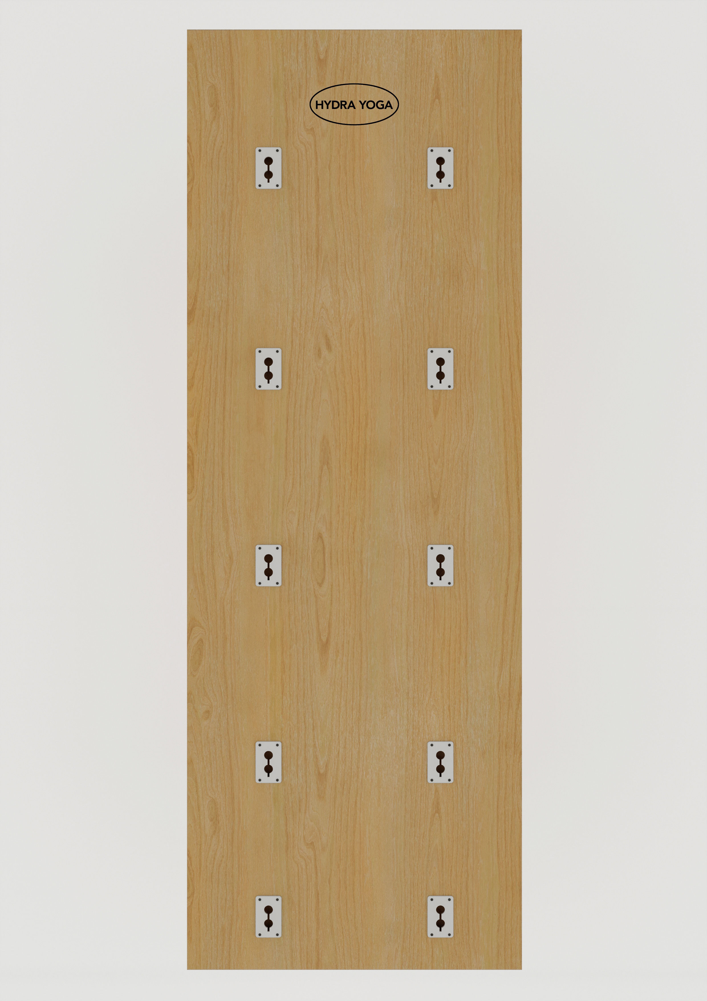 The Hydra Yoga 10- Anchor Plate Set