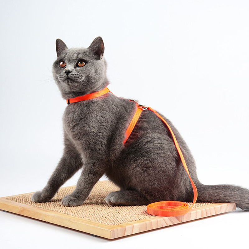 Thumbnail: Adjustable Cat Harness & Lead Set