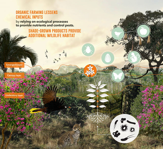 MonocultureSantaFe2_2_web.jpg