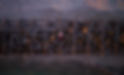 DJI_0077-Edit_edited.jpg