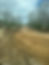 Eric Road (2).jpg