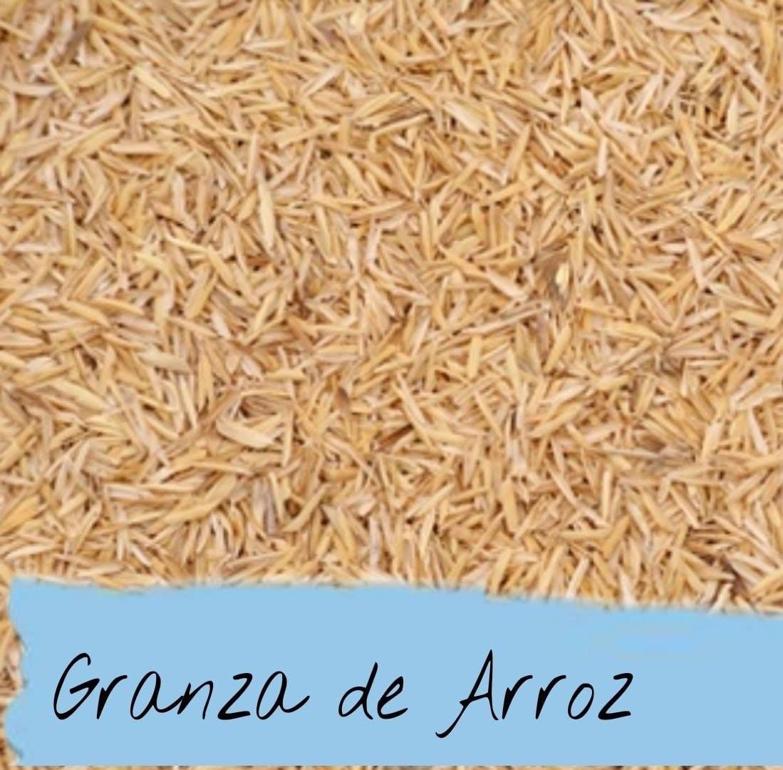 Granza de arroz