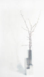 2011 Master's Thesis Work