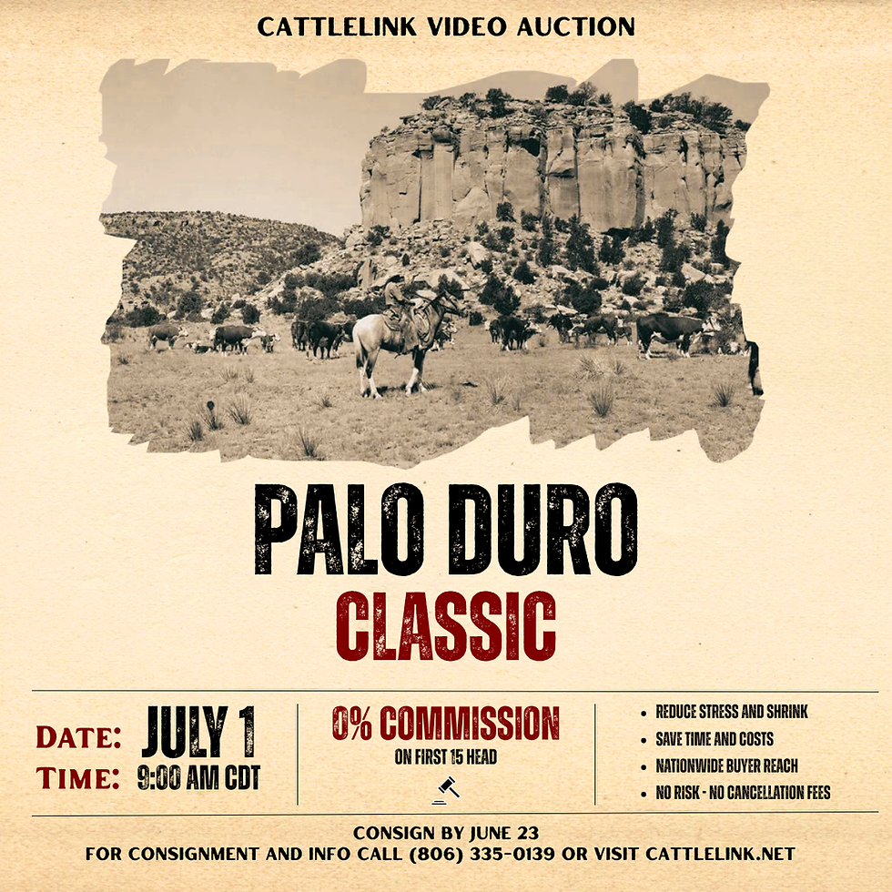 PALO DURO CLASSIC SQUARE (1200 x 1200 px).png