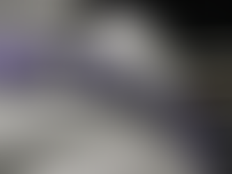 Michelin : le handicap facteur de performance