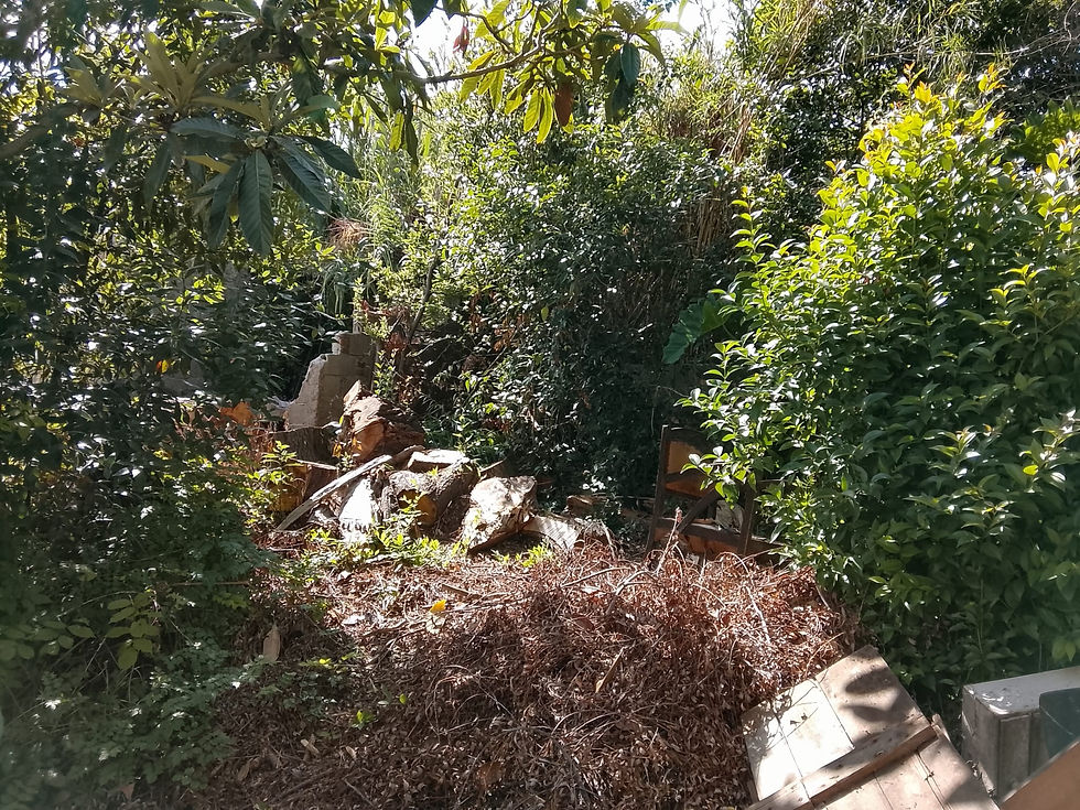 PHOTO-2026-03-25-18-09-49