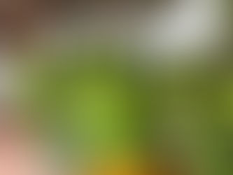 Empresarismo Consciente