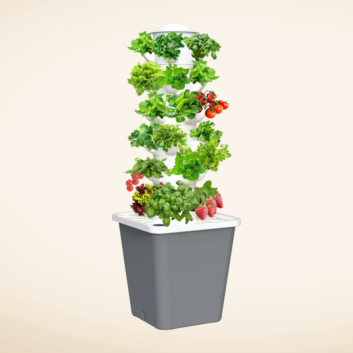 Clase Privada y Venta de Huerto Hidropónico