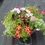 Thumbnail: Pre-Order Mixed Summer Hanging Baskets