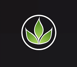 eco friendly image