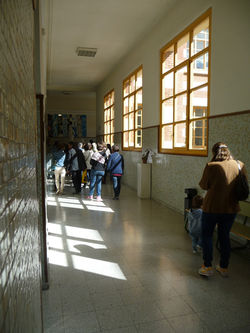 ESCUELA SUPERIOR DE DISEÑO. ESDIR.