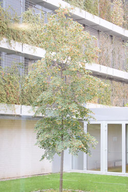 SEMANA-ARQUITECTURA-FCAR-COAR-P-JUSTICIA-PESQUERA-ULARGUI (23)