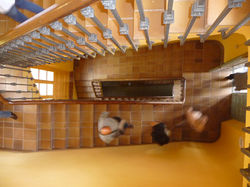 ESCUELA SUPERIOR DE DISEÑO. ESDIR.