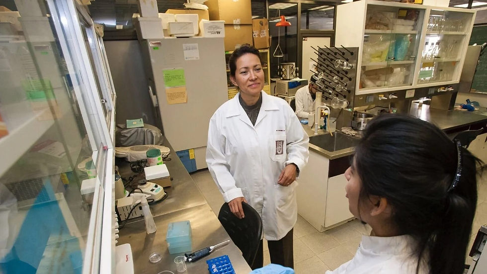 Una investigación con enfoque social.