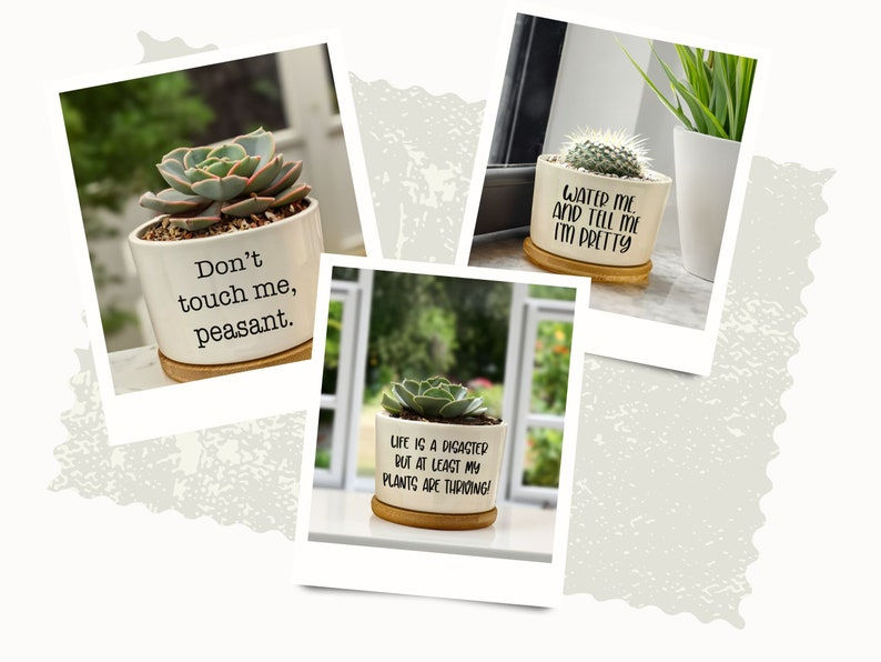 Thumbnail: Succulent Pots | Succulent Planter with Drainage | Funny Plant Pot | Mini Succu