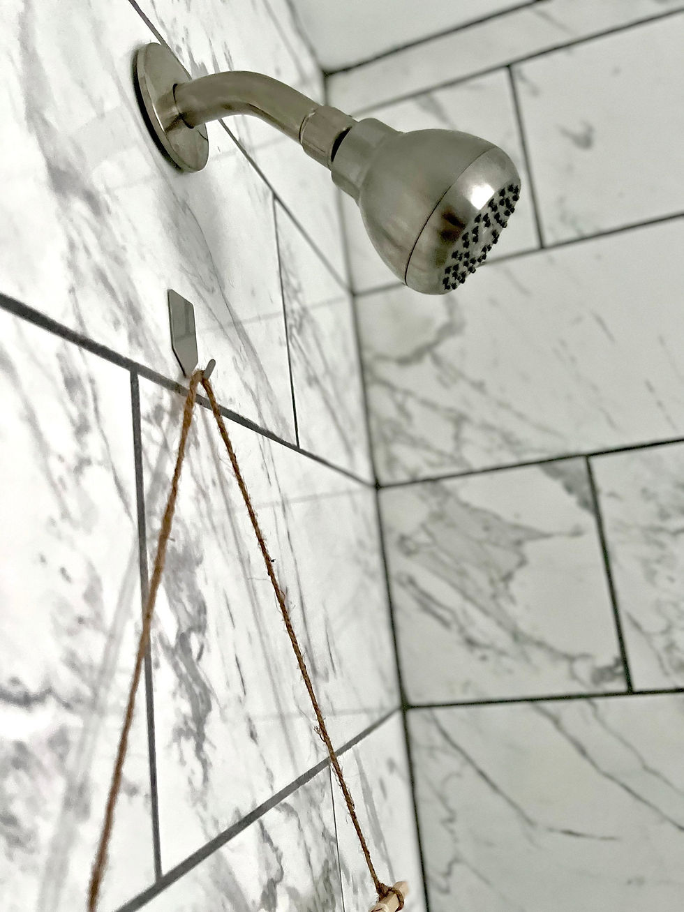 Thumbnail: Shower Eucalyptus Bundle Set | Fresh Shower Plants | Home Decor | Flower Arrang