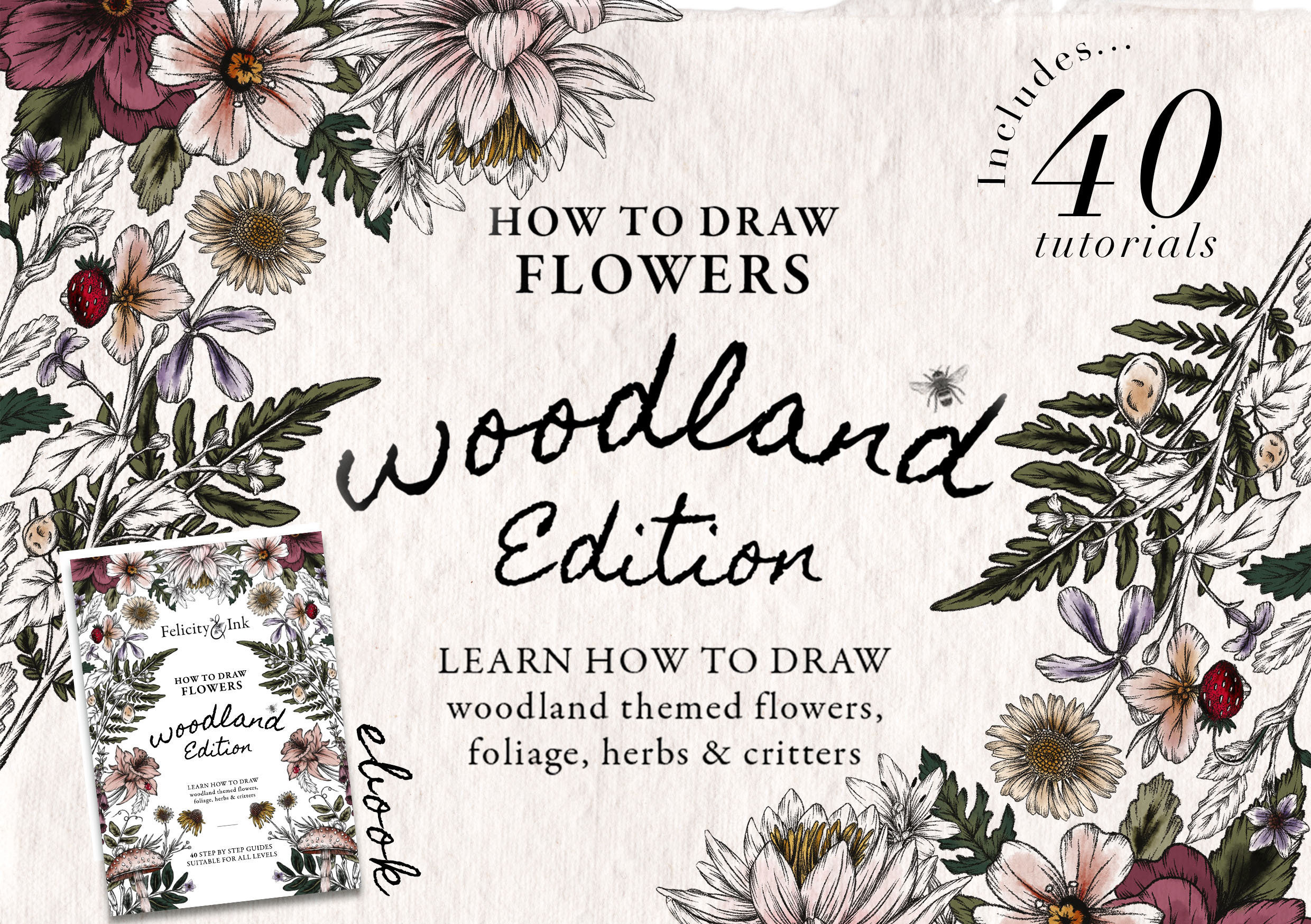 How To Draw Woodland Flowers, Insects and Foliage | 40 Step By Step Drawing Tut
