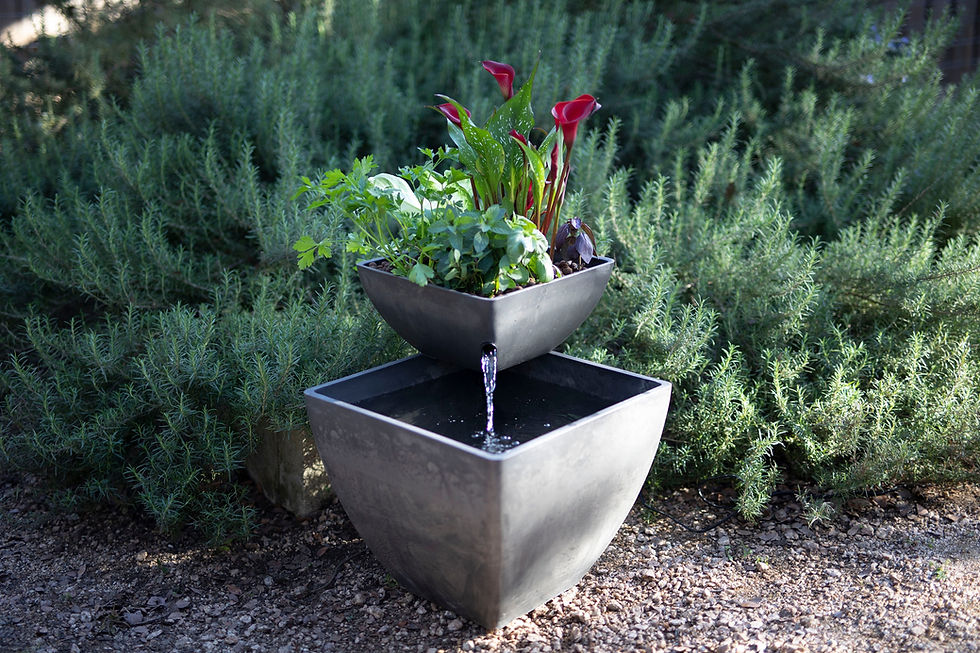 Thumbnail: AquaSprouts Fountain: Hydroponic, Aquaponic, Water Garden Kit, Charcoal, 8 Gall