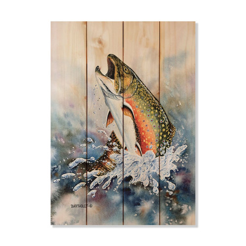 Wile E. Wood DBBT1420 14 x 20 in. Bartholets Brook Trout Wood Art