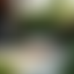 Innovative Small Yard Landscaping Ideas That Maximize Your Space